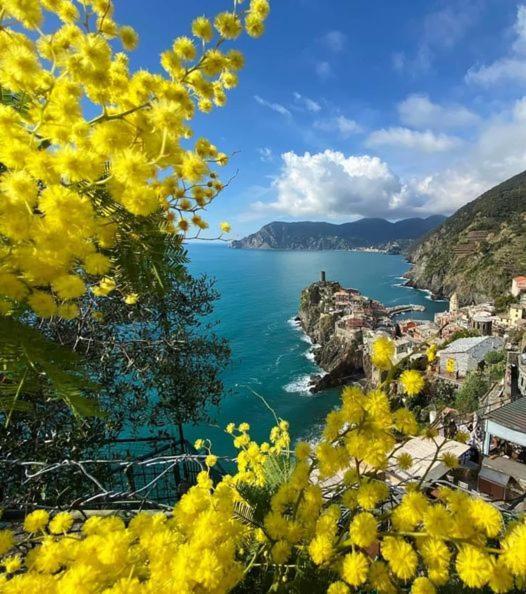 Appartamento Linda A Pochi Passi Dal Mare - 011030-Lt-0357 Vernazza Exteriör bild