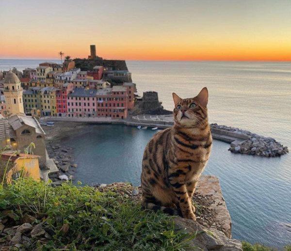 Appartamento Linda A Pochi Passi Dal Mare - 011030-Lt-0357 Vernazza Exteriör bild